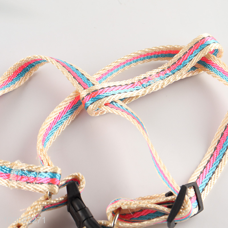Hot products outdoor pets dog polyester pet collar leash