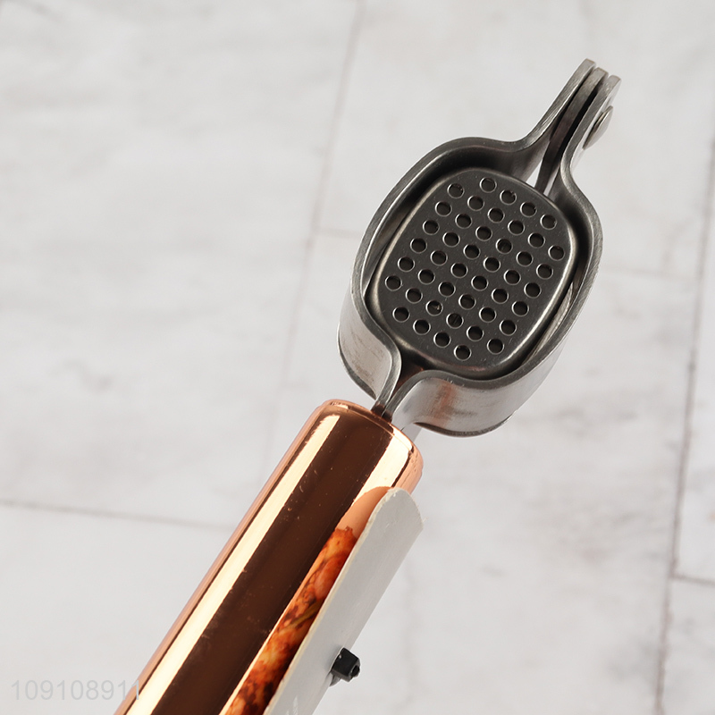 Wholesale Heavy Duty Stainless Steel Garlic Press Garlic Mincer Tool