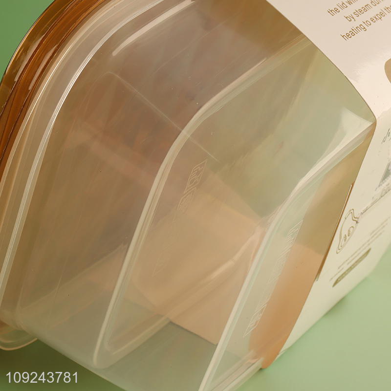 Hot Selling 2 Pieces Fruit Storage Containers Reusable Plastic Food Storage Containers