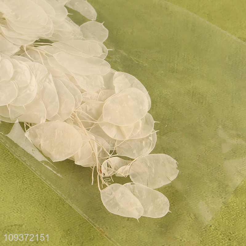 Online wholesale white indoor decor dried flower