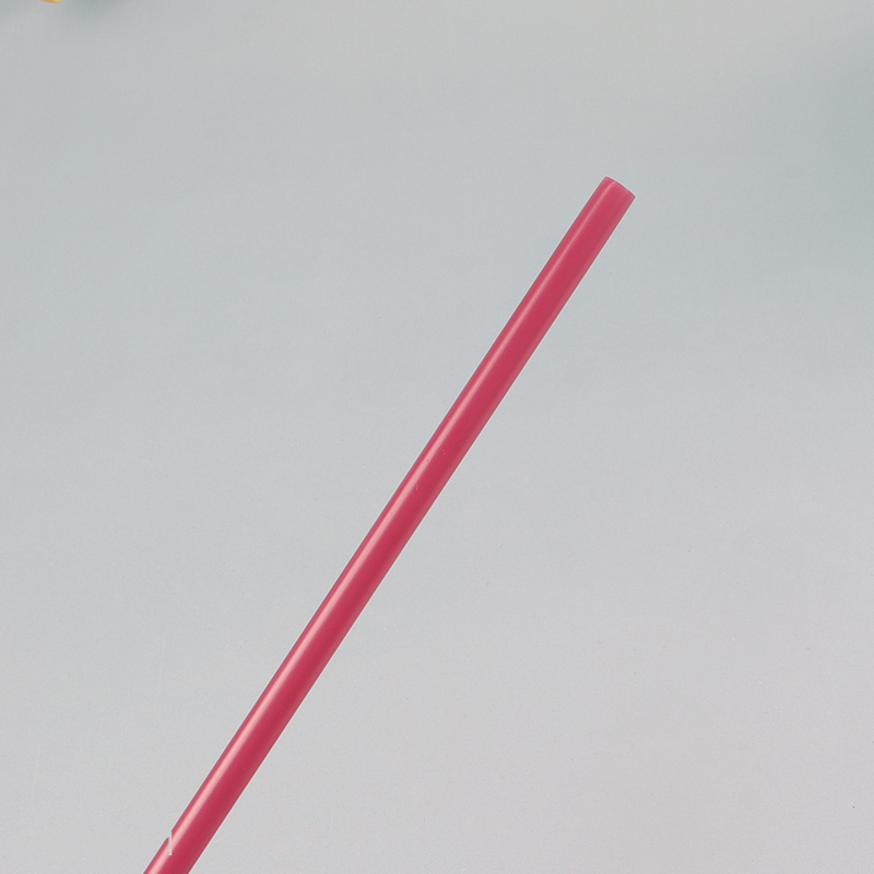 Cute plastic water bottle Tumbler with Straw